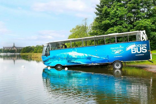 Åk buss – på vattnet.